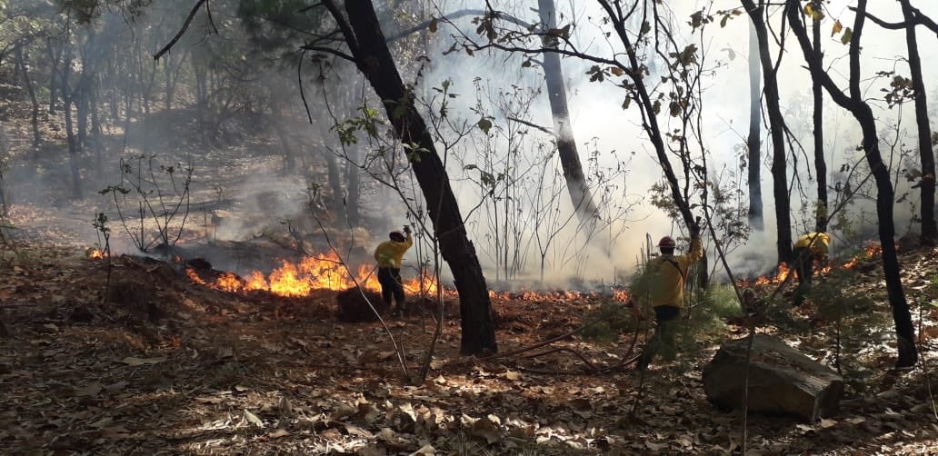 Bomberos trabajan para sofocar el incendio.