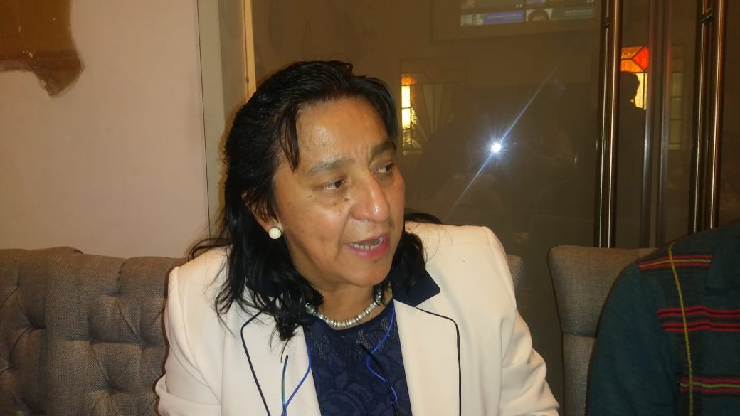 Martha Alicia Palomino Ovando, directora de la Facultad de Ciencias Físico Matemáticas de la UAP (Jaime Zambrano)