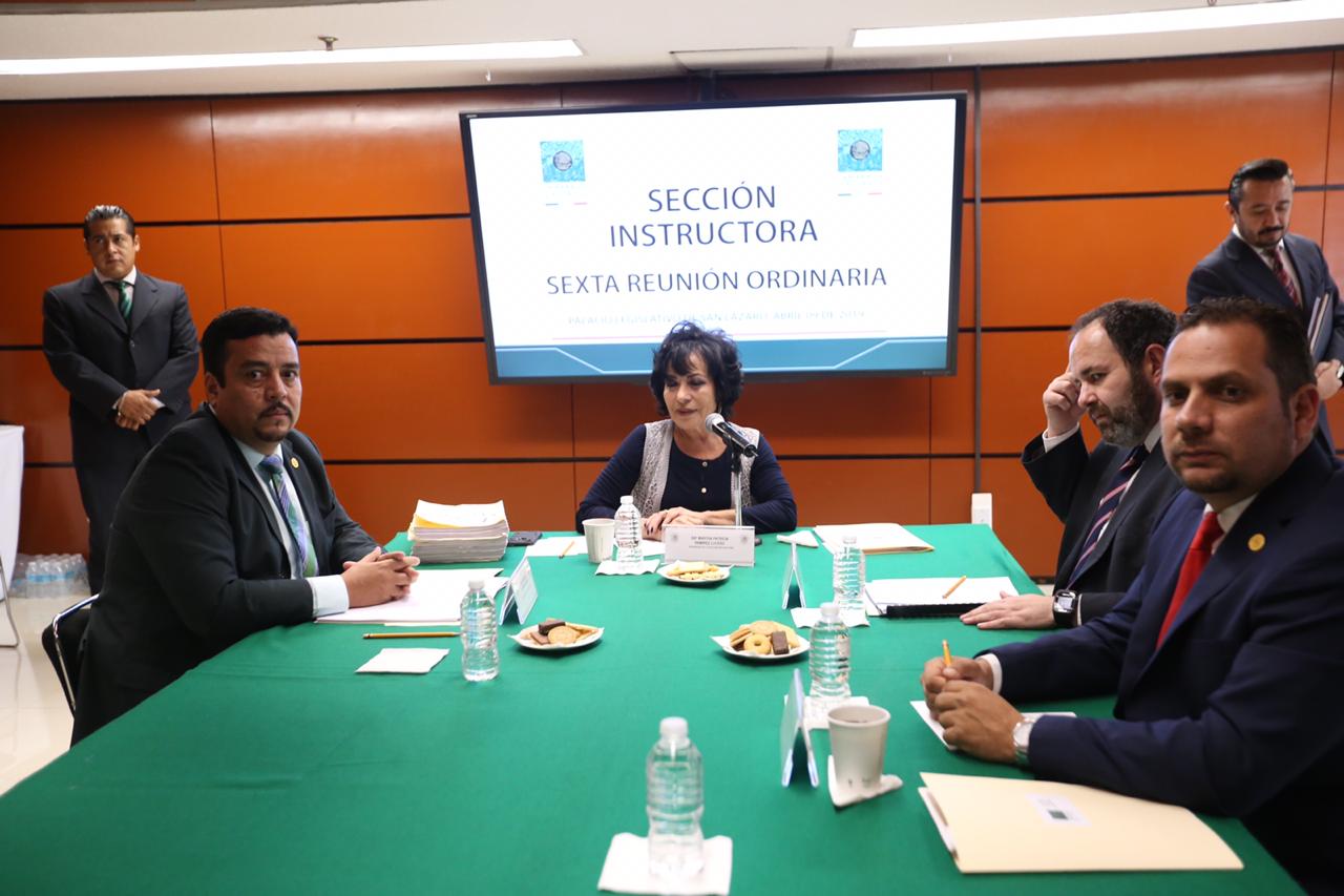 La Sección Instructora de la Cámara de diputados (Nelly Salas)