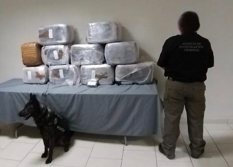 El cateo se realizó en un domicilio de la colonia Mirador del Valle. Foto: Especial