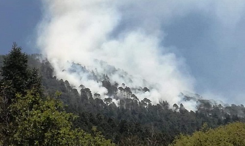 El incendio inició este martes. (Especial)