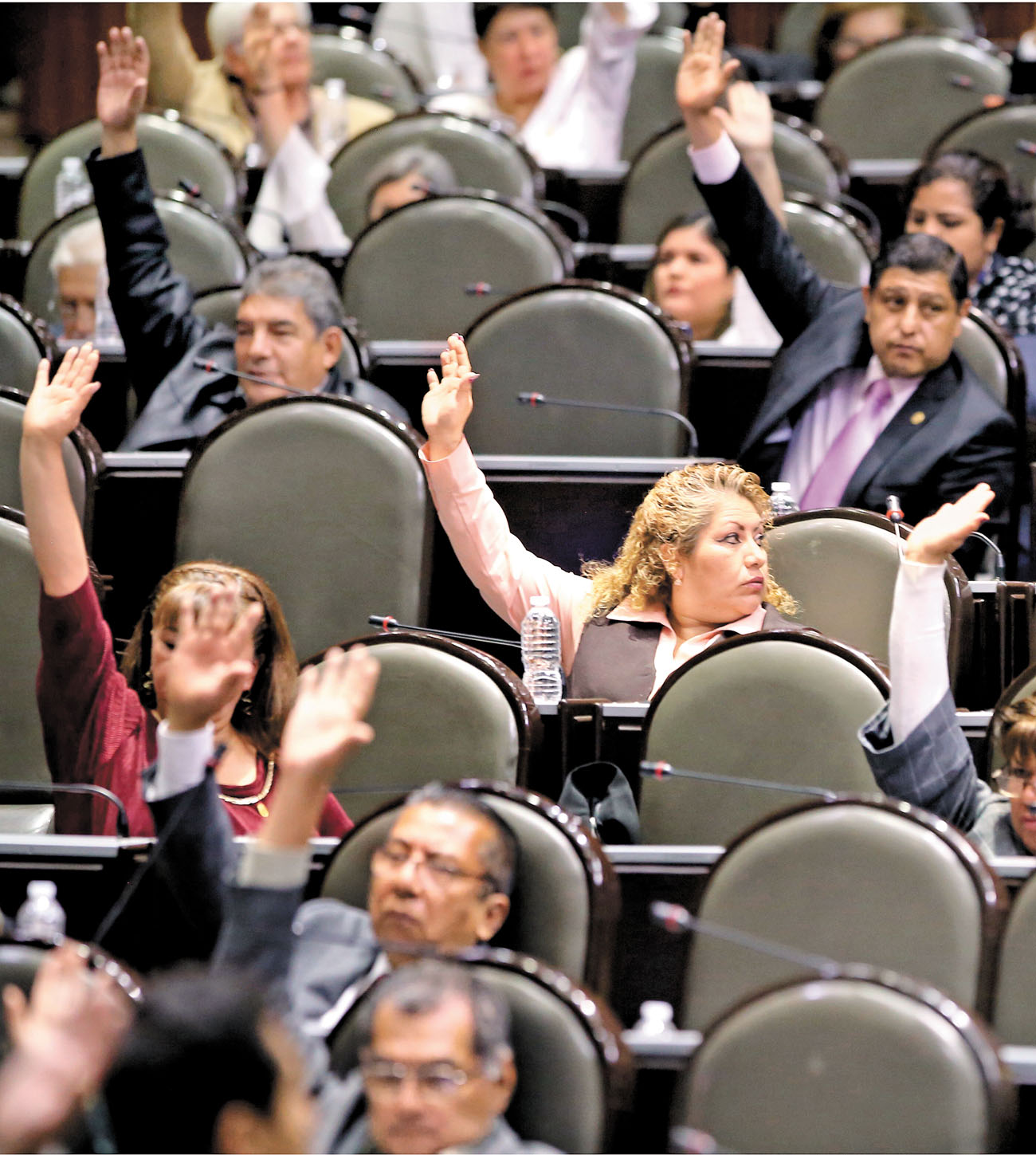 Unanimidad en la Cámara de Diputados. (Nelly Salas)