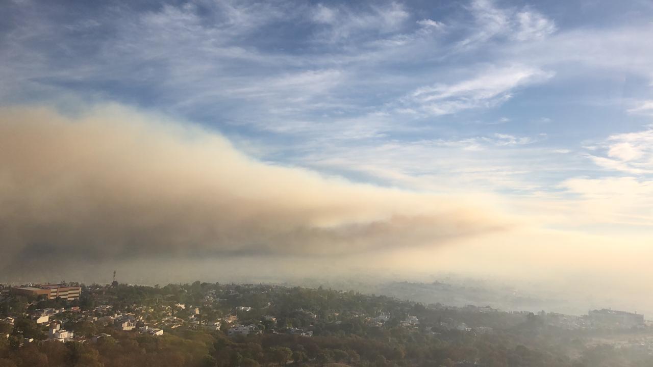 Incendio del bosque La Primavera hace unas horas (Cortesía).