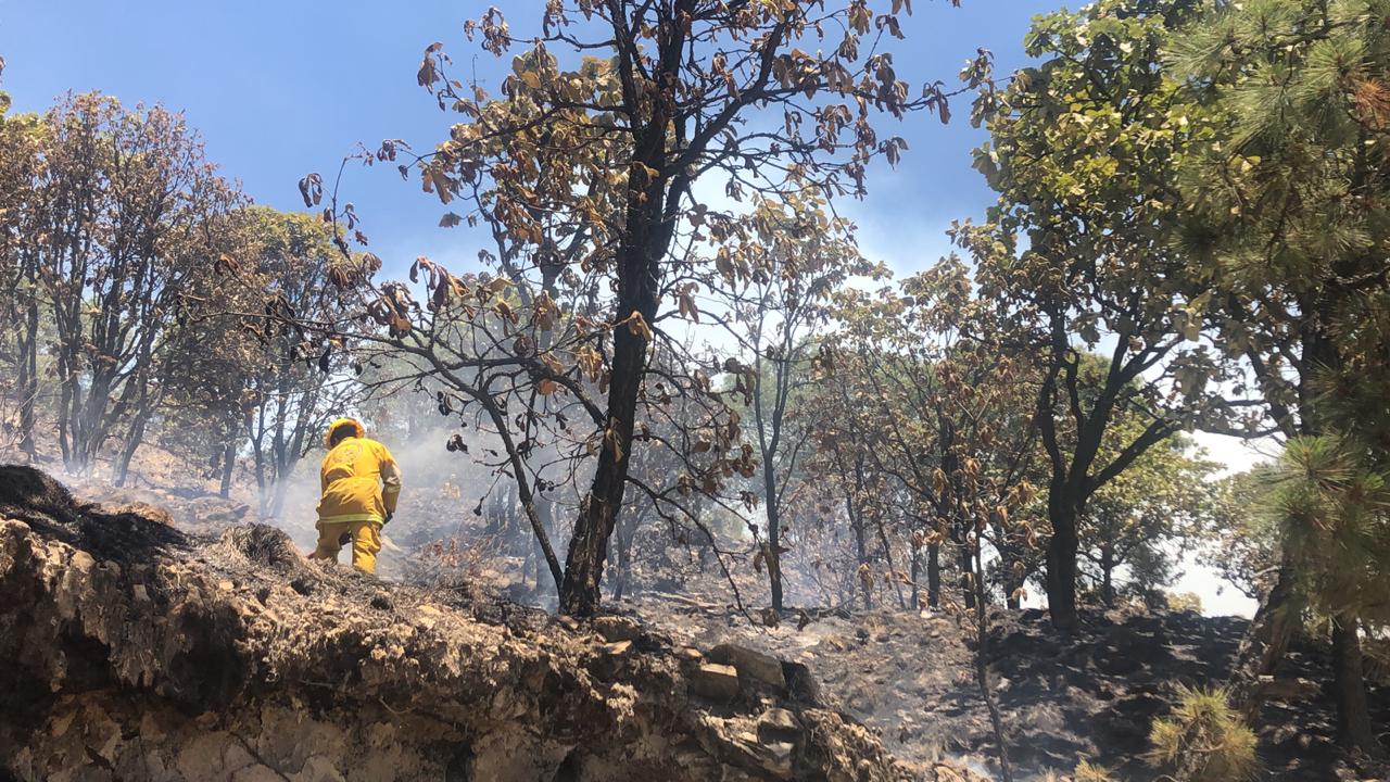 Más de 400 combatientes en el incendio del Bosque La Primavera (Cortesía).