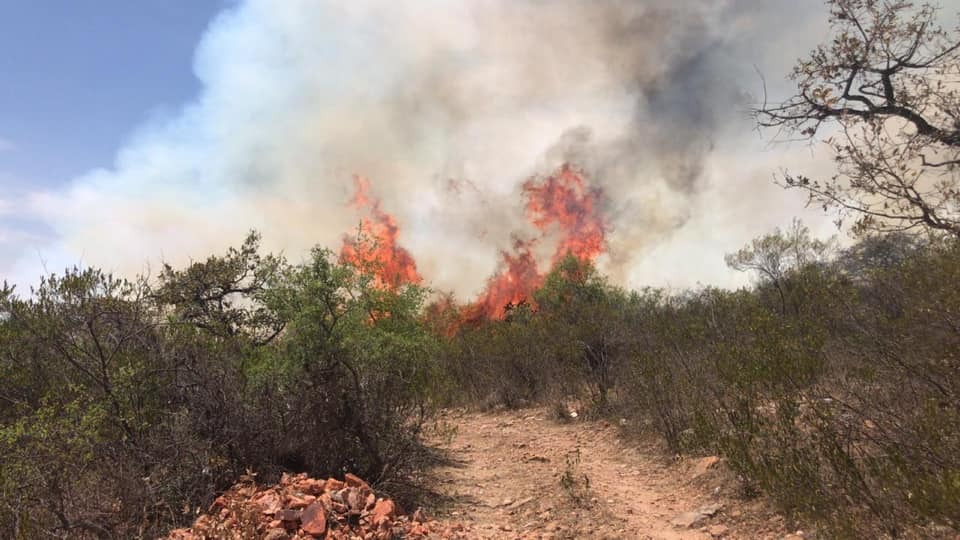 El incendio ha consumido más de 300 hectáreas. (Estrella Álvarez)