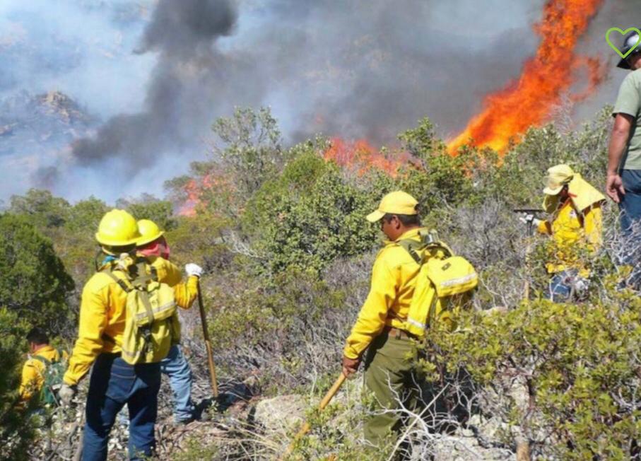 Los brigadistas trabajan para contener y sofocar los incendios.