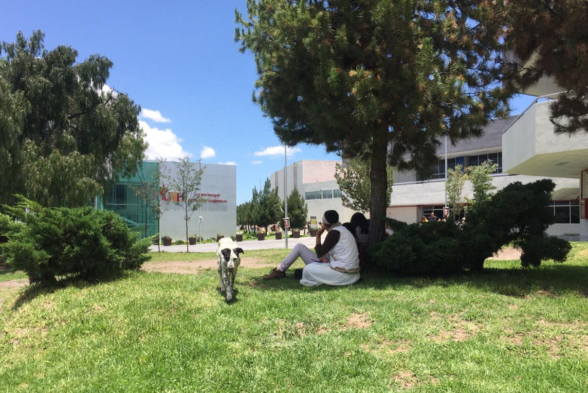 Estudiantes organizan la segunda campaña de esterilización canina en instituto de la UAEH. (Melisa Agüero)