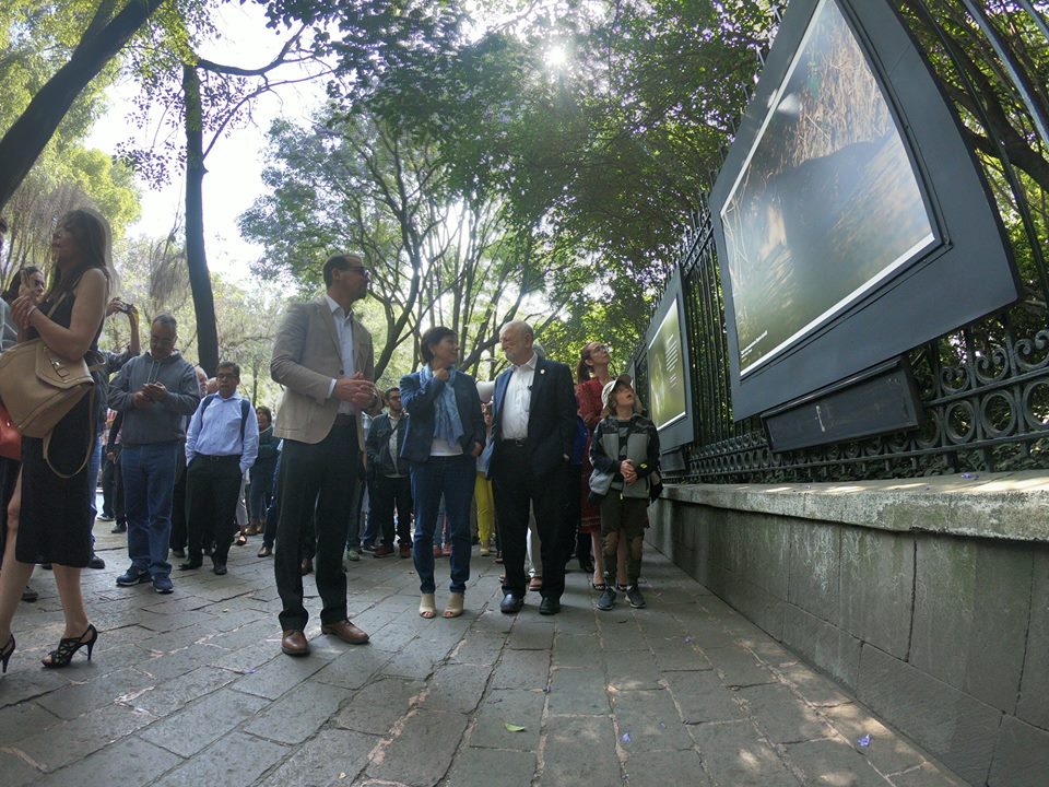 Ofrecen 75 miradas sobre la biodiversidad del territorio mexicano (Conabio)