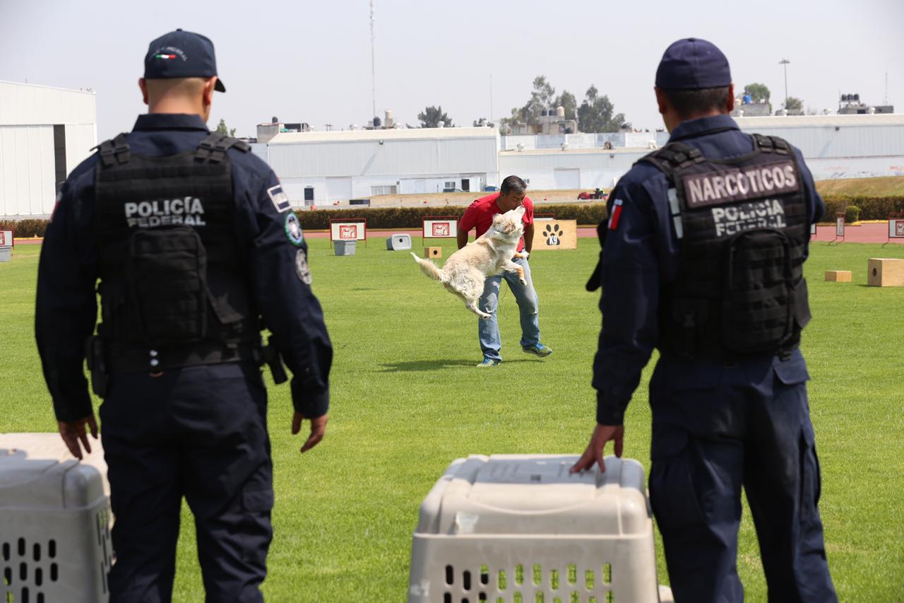 La Policía Federal indicó que apoyará a la Guardia Nacional con sus técnicas y apoyo. (Nelly Salas)