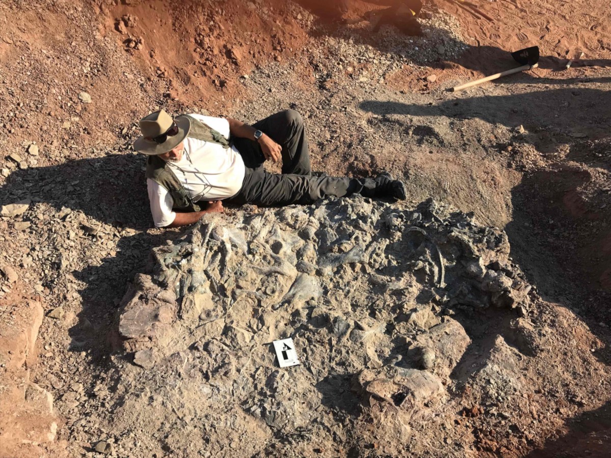 El cementerio de dinosaurios fue localizado en la provincia de San Juan. (AFP)