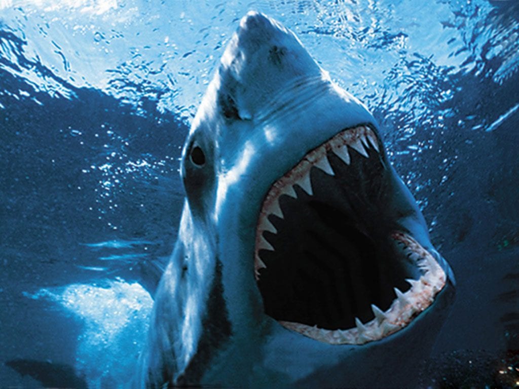 ¿Cuáles son las plantas y los animales que siembran el terror en el reino natural?