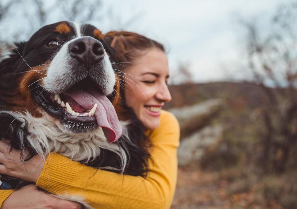Tener un perro incrementa las posibilidades de casarte (Especial).