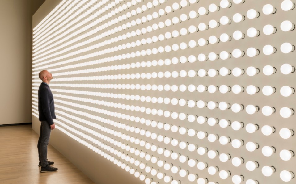 Carsten Höller presenta Sunday en el Museo Tamayo