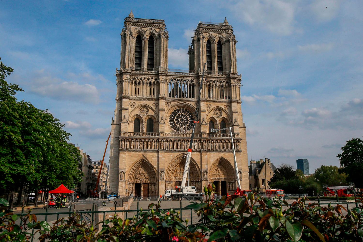 Cada colmena en Notre Dame produce en promedio cada año 25 kilos de miel. (AFP)