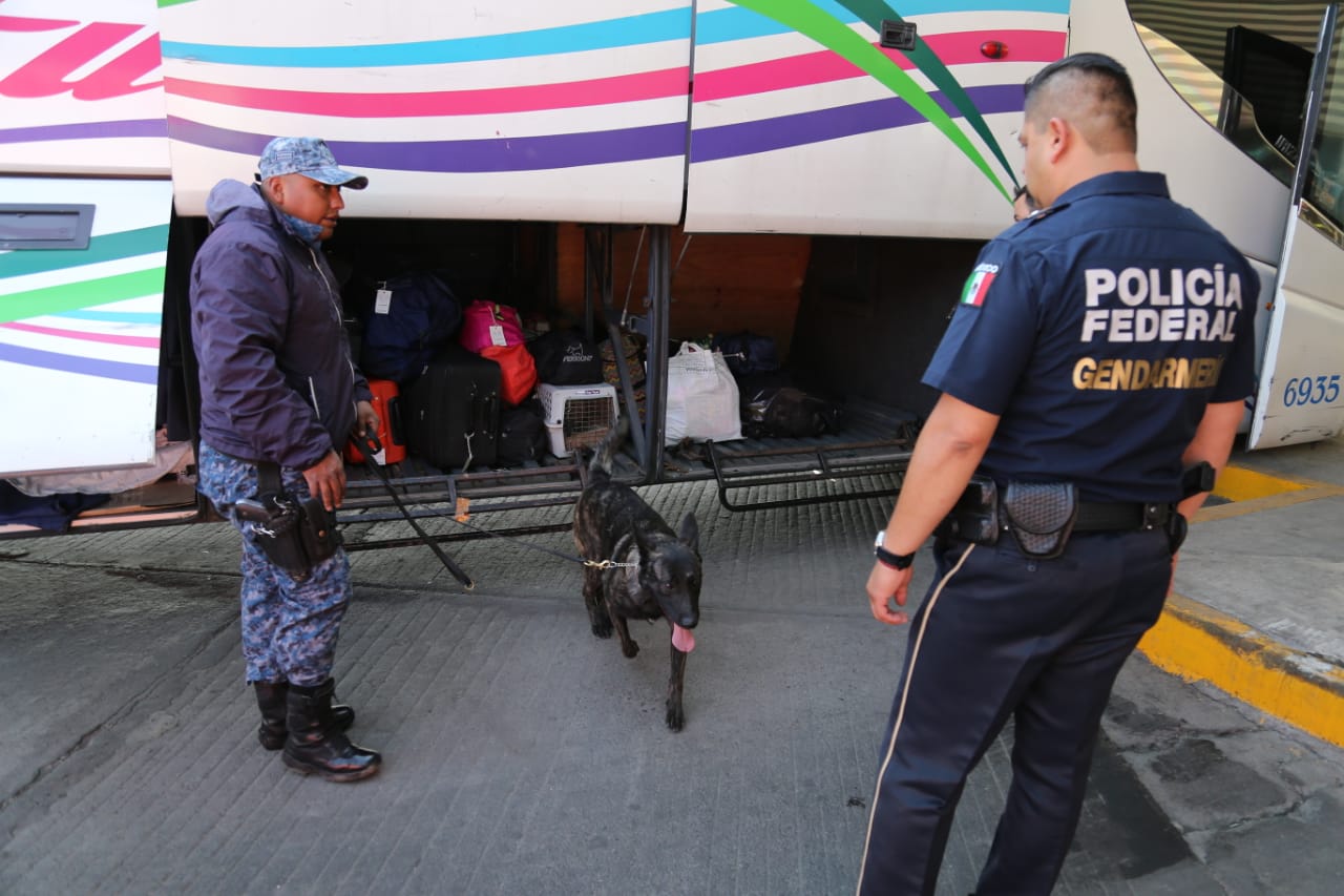 Este operativo sólo se implementa hoy en la capital hidalguense. (Jorge Sánchez)