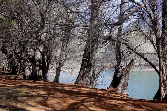 El Parque Estatal Cañón de Fernández es un Área Natural Protegida. (Notivox Digital)