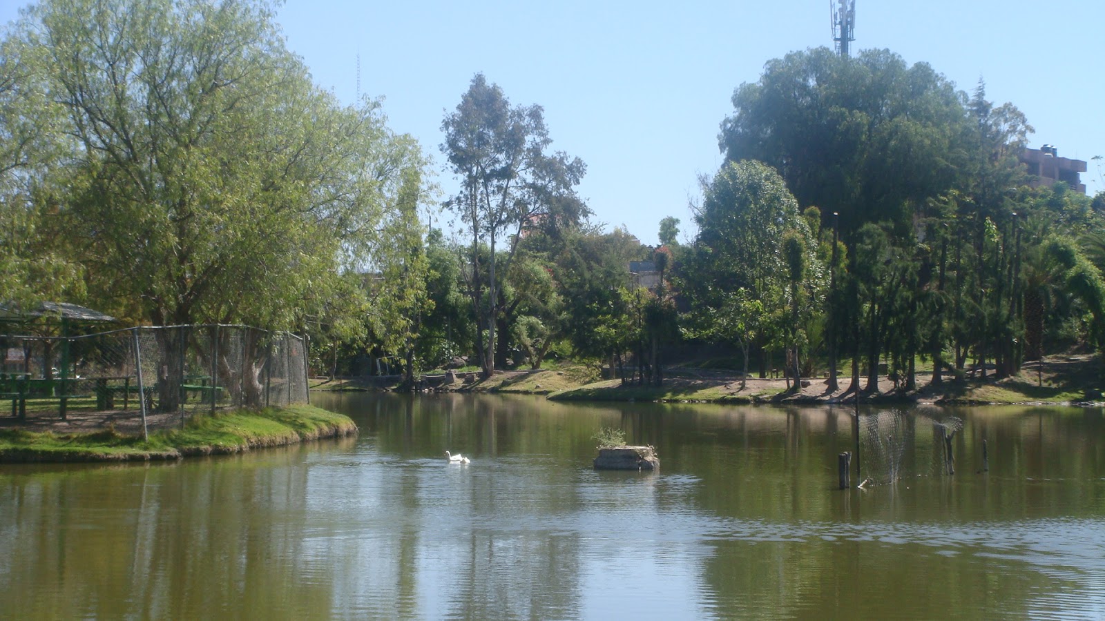Lago  del Parque Deportivo Chapalita (Foto redes)