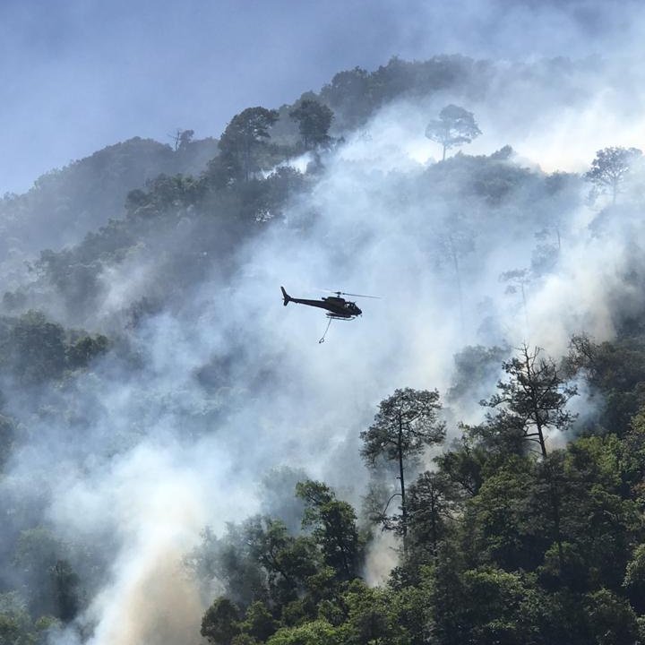Combaten incendio forestal en Zacatlán (Especial)