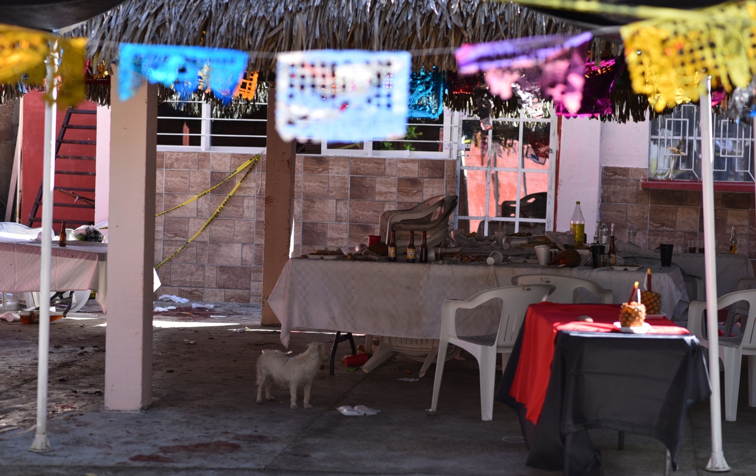 Un grupo armado irrumpió en una fiesta familiar en Minatitlán y asesinó a 13 personas. (AFP)