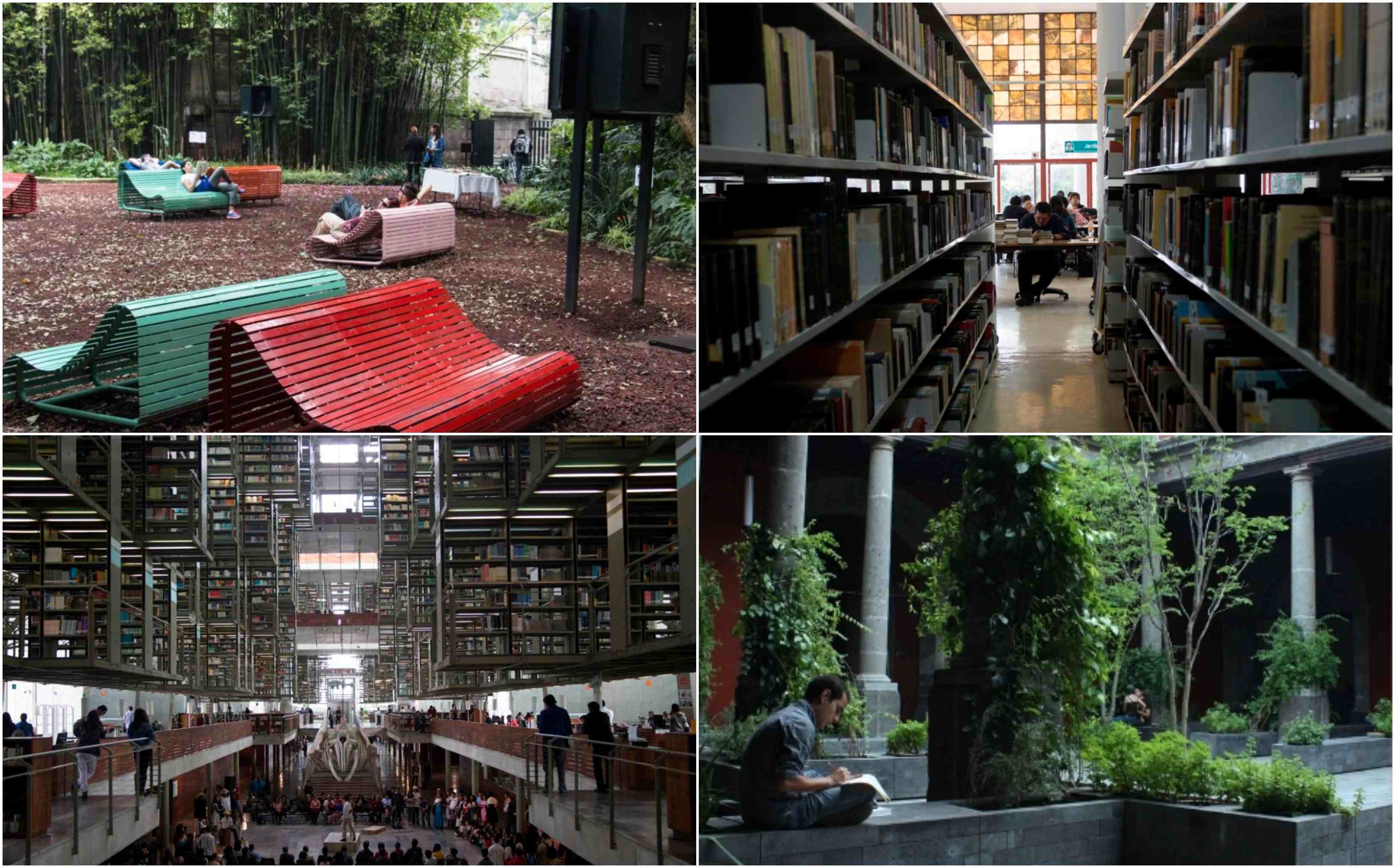 Lugares para leer en la CdMx.