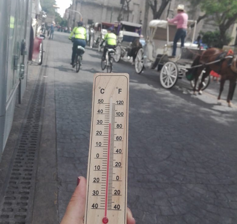 Suspenden paseos cuando la temperatura rebasa los 32ºC, (Cortesía)