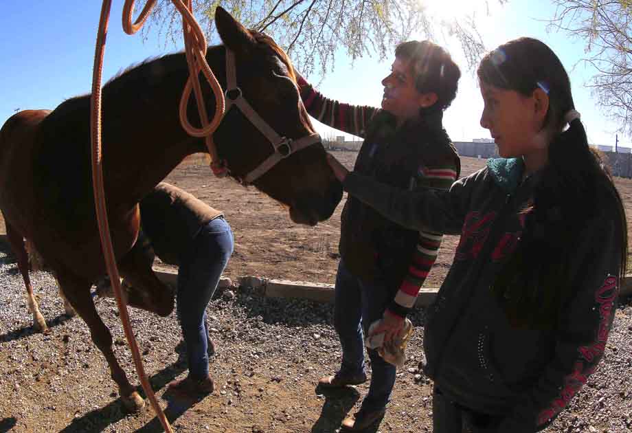 El caballo llegó a México tras la conquista española. (Manuel Guadarrama)