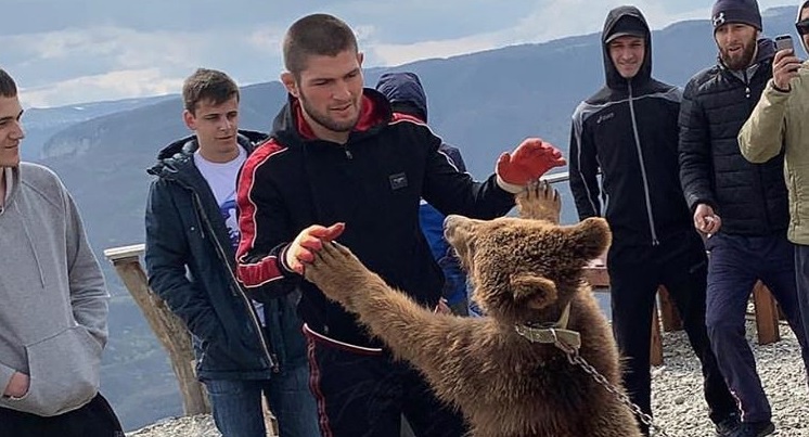 Khabib Nurmagomedov presumió su encuentro con el oso (Instagram)