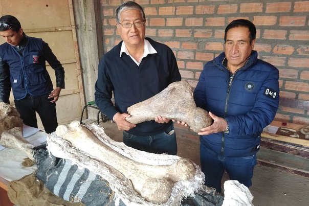 Los fósiles estaban en un paraje rodeado de árboles en el distrito de Chambará. (Especial)