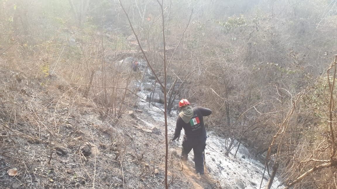La medida se adoptó debido a que el humo y las cenizas podrían afectar a los habitantes de la capital de Guerrero.