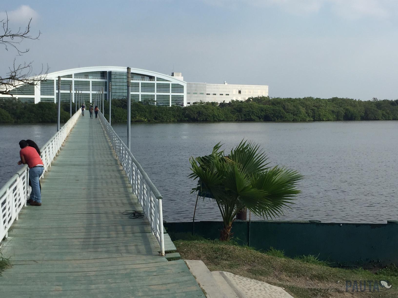 Puente peatonal de la laguna del Carpintero.