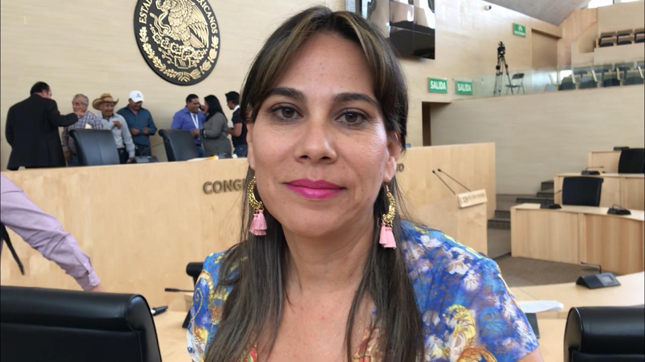 Diputada, Lorena Alfaro García