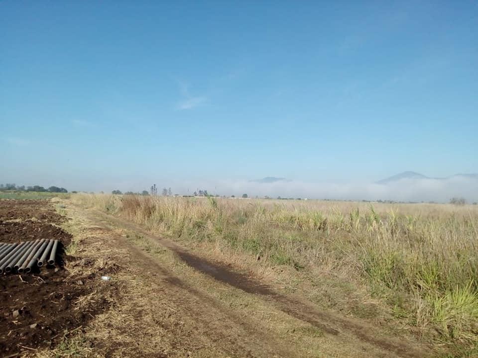 La fosa está ubicad en una zona de cultivo de caña. (Salvador Arellano)