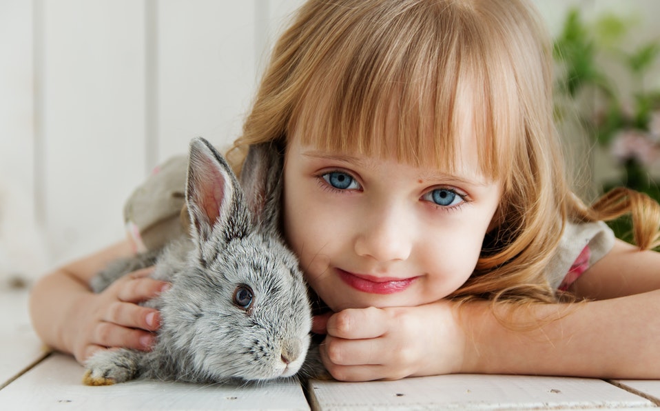Los humanos y las mascotas crean un lazo especial, en el que se recibe amor y cariño. (Cortesía Pexels)