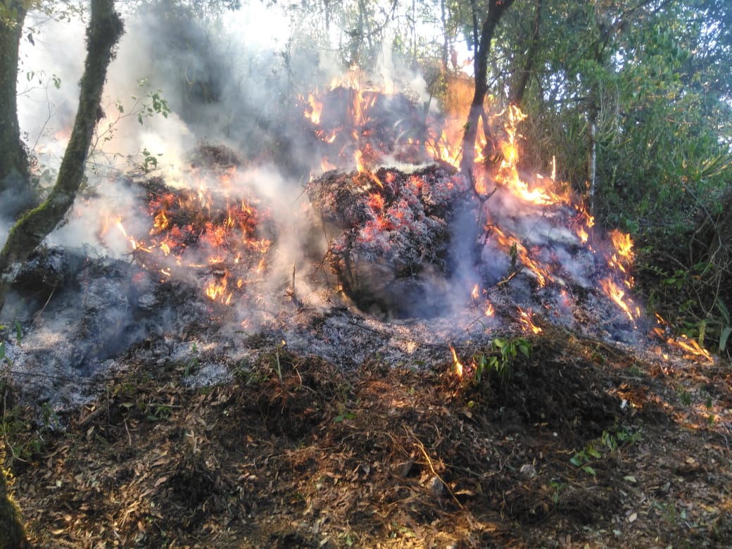 Los incendios han consumido más de 14 mil hectáreas en la entidad.
