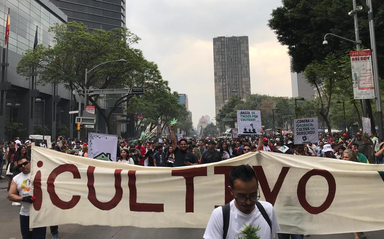 Marihuana: marchan en la CdMx para legalización de su consumo - Grupo ...