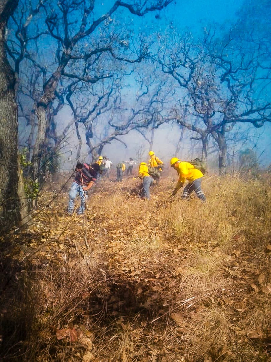 El incendio se registró el 10 de abril. (Archivo, @COESFO_GobOax)