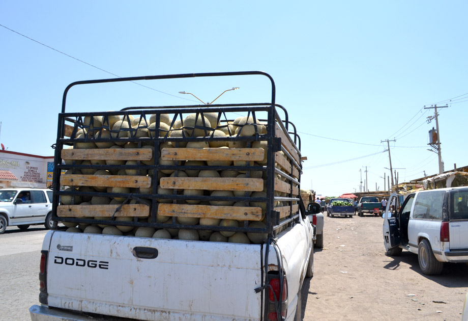 Las trailas con rumbo a las capitales de Durango y Coahuila, se pueden ver en todo el trayecto. (Lilia Ovalle)