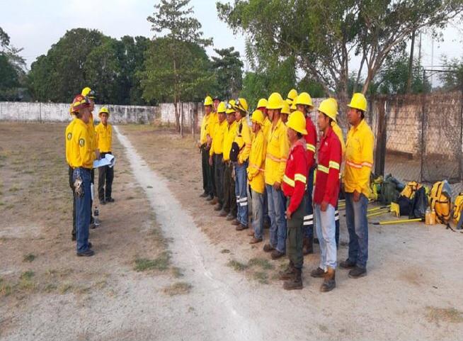 Brigadistas Estatales y federales se encuentran sofocando el incendio. (Oscar Rodríguez)
