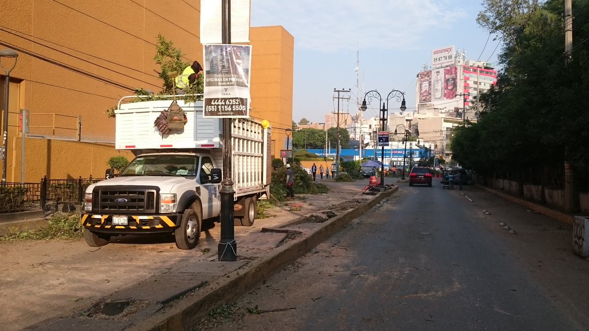 Árboles podados cerca del Metro Coyoacán en el Pueblo de Xoco. (Tomado de @PueblodeXoco)