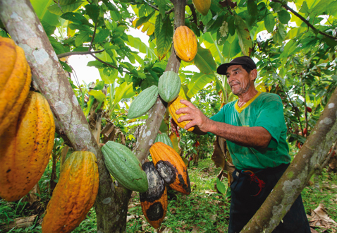 Además de sumar a pequeños productores a su cadena de valor, Natura promueve la conservación de 257,000 hectáreas en el Amazonas.