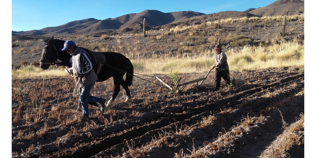 El trabajo según Hesíodo es la única apuesta sostenible: el cultivo, la cultura. (Imanen: Wikipedia)