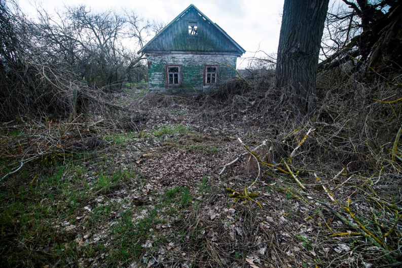 A 33 años de Chernobil, la vegetación ha crecido y los animales han llegado. (Especial)