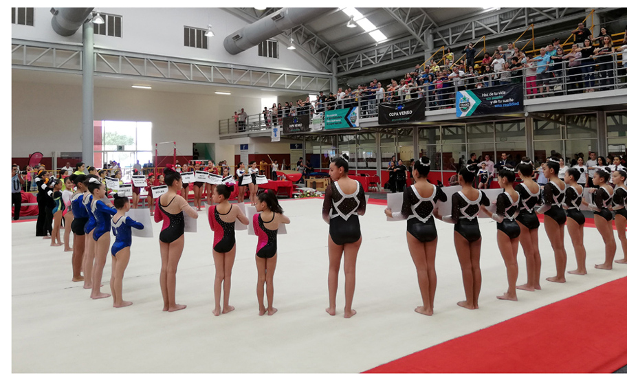 Tuvo una participación de 650 gimnastas. (Michael Nájera)