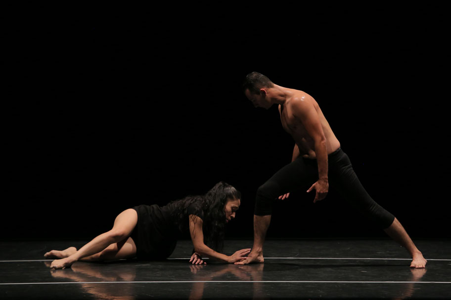La Compañía Mezquite promueve el desarrollo y apreciación de la danza contemporánea en La Comarca Lagunera. (Milenio Digital)