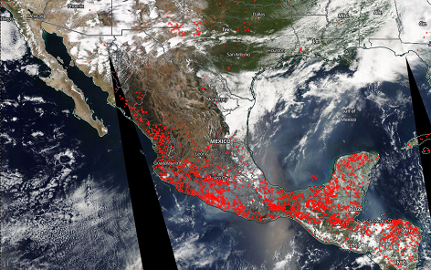 La NASA compartió un mapa interactivo de los incendios. (NASA)