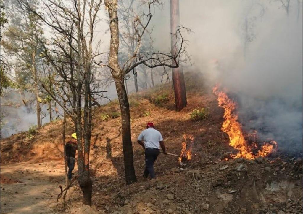 De los siete incendios activos, cuatro son forestales. | Cuartoscuro