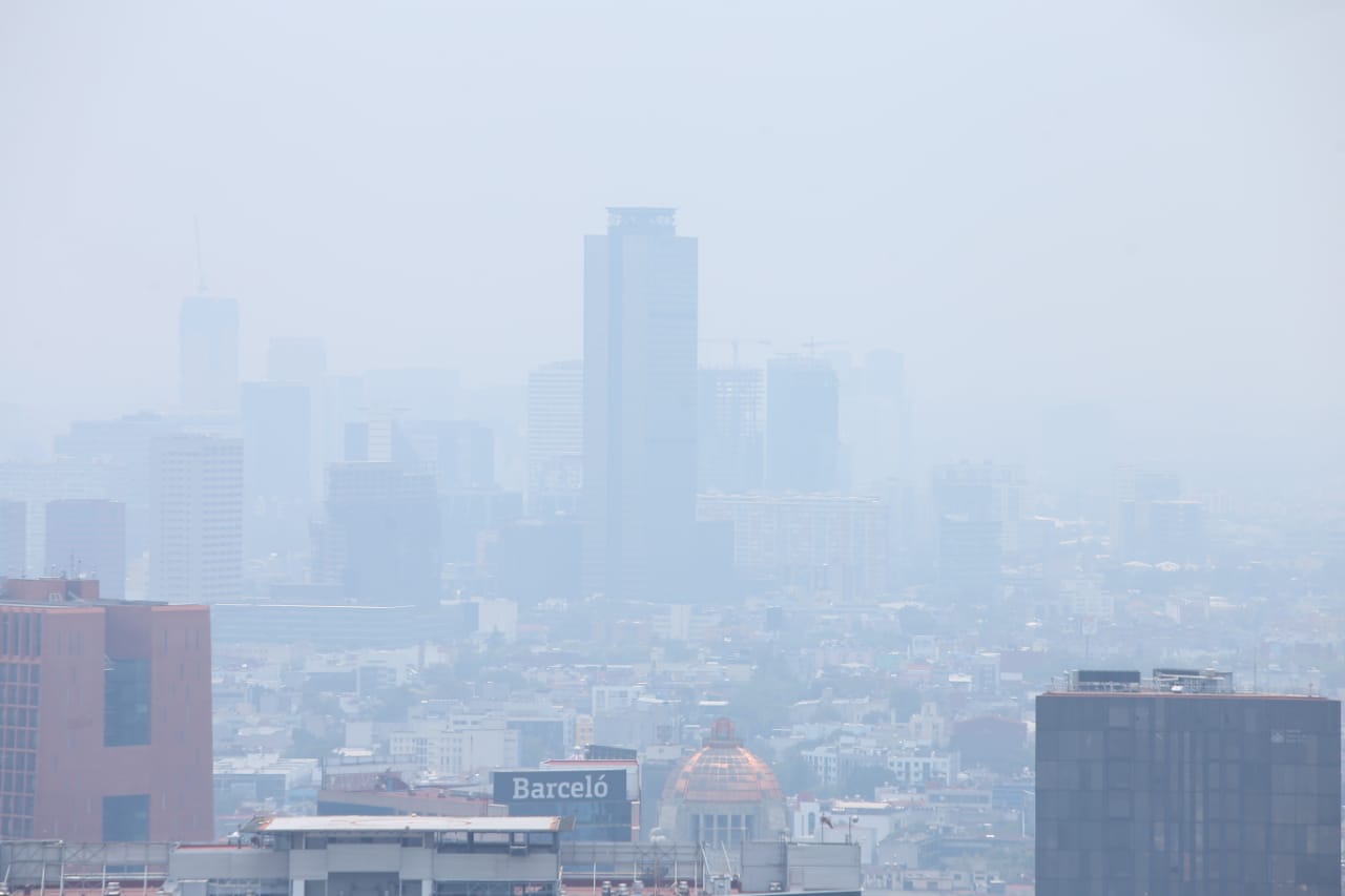Redim y Greenpeace advirtieron sobre el alto índice de muertes de menores a causa de la contaminación (Juan Carlos Bautista)