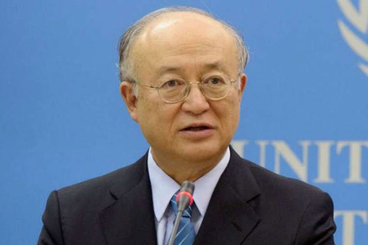 Yukiya Amano, director general del organismo.