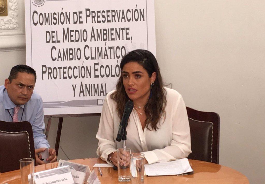 La diputada Alessandra Rojo indicó que se reunirá con la titular de la Sedema. | Twitter @Congreso_CdMex