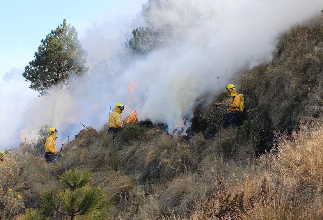 Se han incendiado 21 mil hectáreas, confirmó a MILENIO María Isabel Ortiz, secretaria de Medio Ambiente y Ordenamiento Territorial